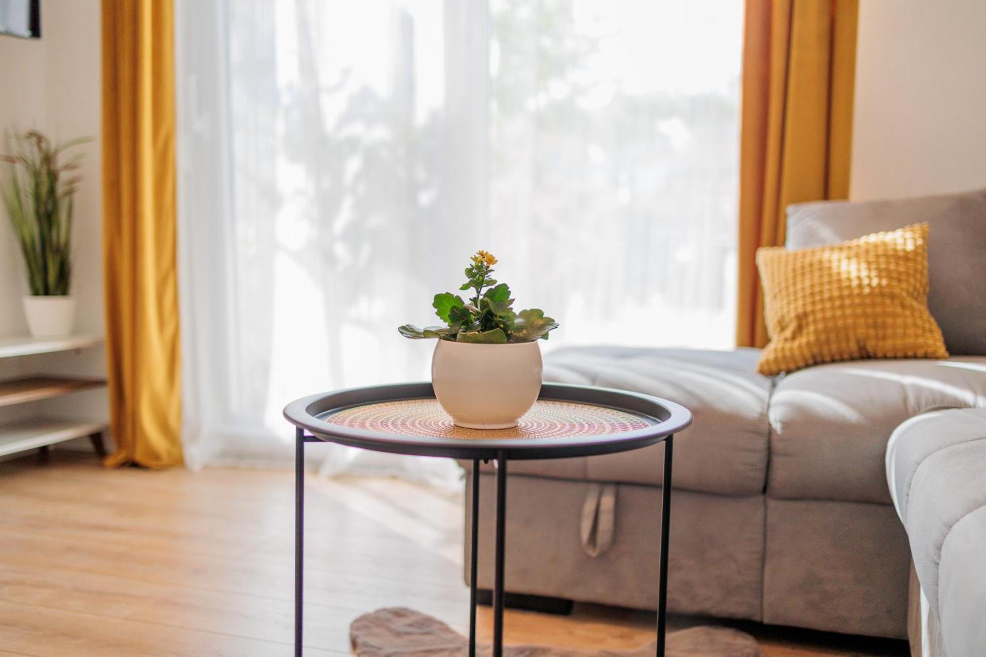 Sunny Flower Apartment *